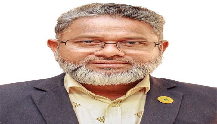 স্মৃতির ক্ষত থেকে আগামীর স্বপ্ন: ব্যালট কি পারবে বদলাতে ভাগ্য?