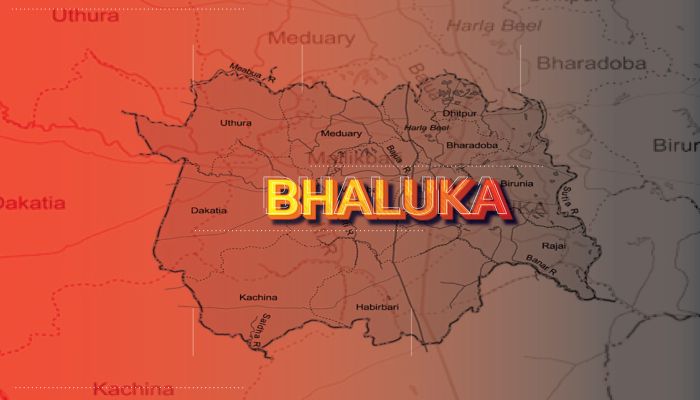 কিশোর গ্যাং ও মাদকের আতঙ্কে ভালুকা