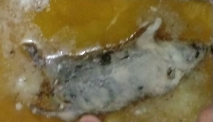 বেকারির ডালডার মধ্যে মিলল মরা ইঁদুর