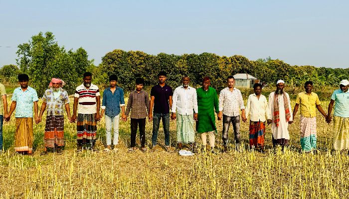 সিংড়ায় জমি নিয়ে বিরোধের জেরে কৃষকের আবাদকৃত সরিষা কেটে নিল প্রতিপক্ষ
