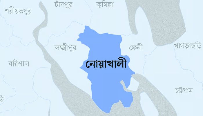 নোয়াখালীর ৫ আসনে ধানের শীষের জয়, একটিতে এনসিপি বিজয়ী