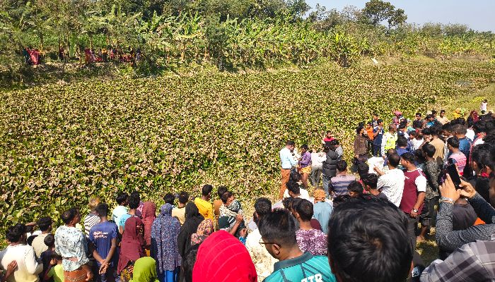 জীবননগর ভৈরব নদ থেকে নিখোঁজ ব্যক্তির লাশ উদ্ধার 