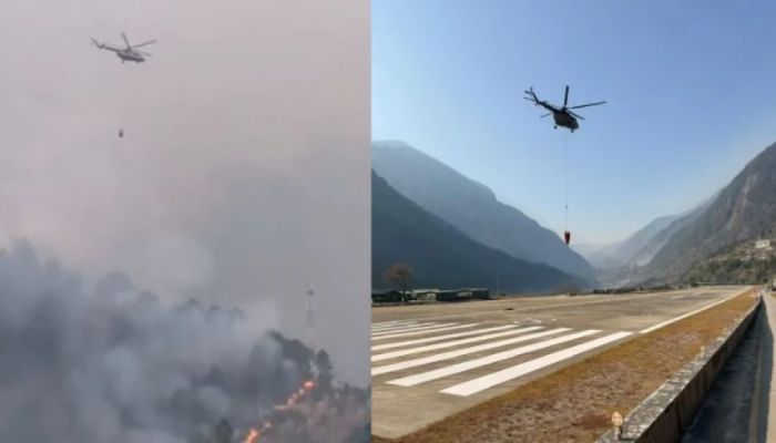 দাবানলে পুড়ছে ভারতের অরুণাচল-নাগাল্যান্ড