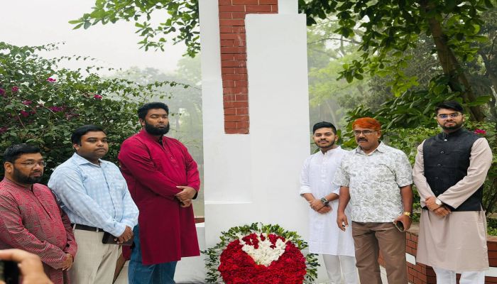 মির্জাপুরে স্বাধীনতা দিবস পালন