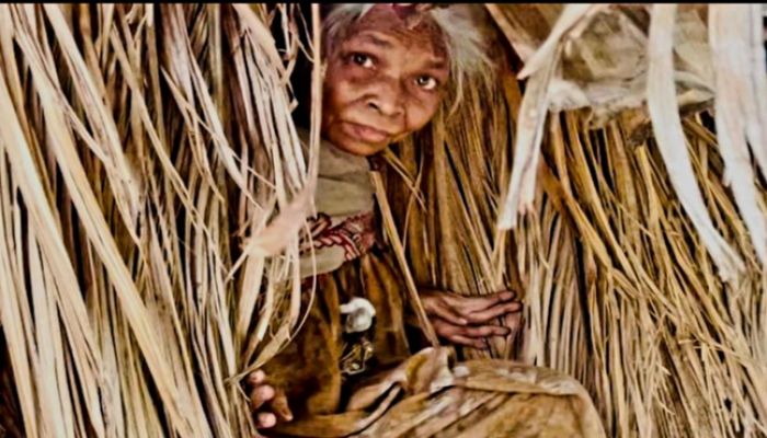 রায়পুরে নদীপাড়ে ঝুঁকিপূর্ণ বসতি: একটি নিরাপদ ঘরের অপেক্ষায় বৃদ্ধা ছালেহা