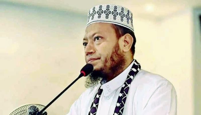 বিদ্যুৎ ও জ্বালানি মন্ত্রী ইসলাম বিদ্বেষী : আমির হামজা