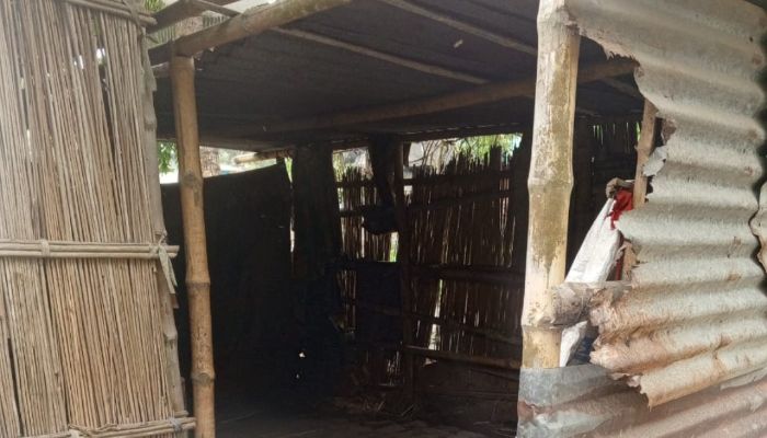 লোহাগড়ায় রাতের আঁধারে গরু চুরি, আতংকে  এলাকাবাসী 