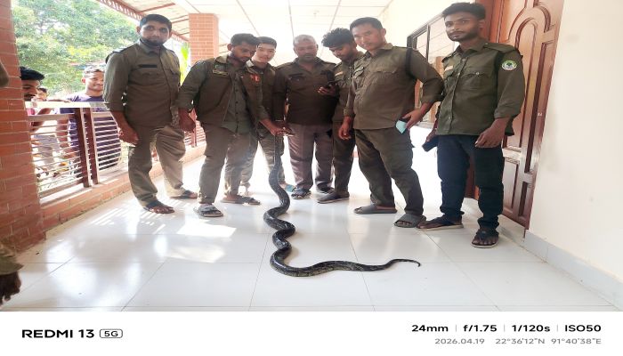 সীতাকুণ্ড ইকোপার্ক সংলগ্ন লোকালয়ে অজগর উদ্ধার, বনে অবমুক্ত