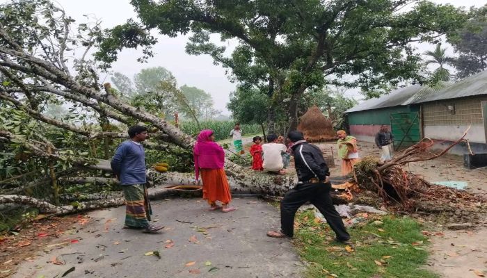 নীলফামারীতে কালবৈশাখীর তাণ্ডবে ২০০’র বেশি ঘরবাড়ি ক্ষতিগ্রস্ত, ফসলহানী, বিদ্যুৎ বিপর্যয়