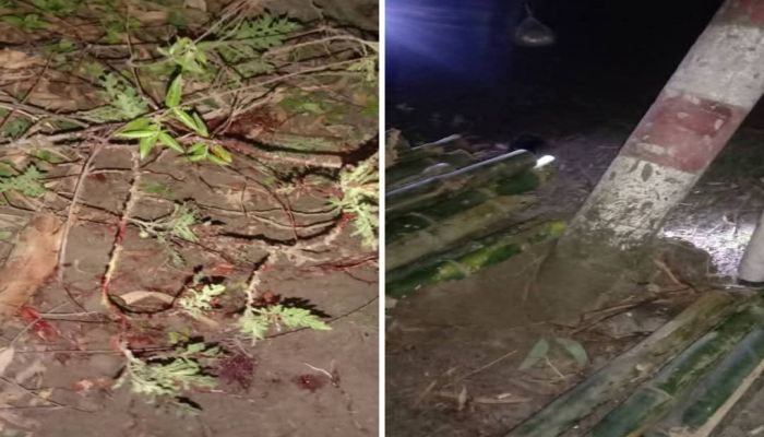 নীলফামারীতে সড়ক দুর্ঘটনায় মোটরসাইকেল চালক নিহত, আহত ২