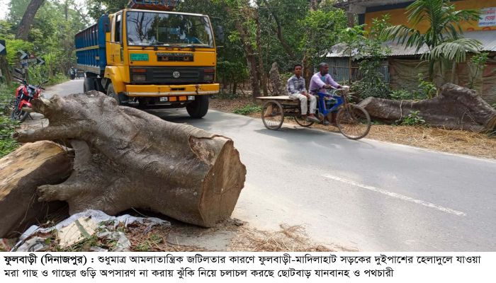 ফুলবাড়ীতে সড়কের বাঁকে বাঁকে মরা গাছ ও গাছের গুড়ি