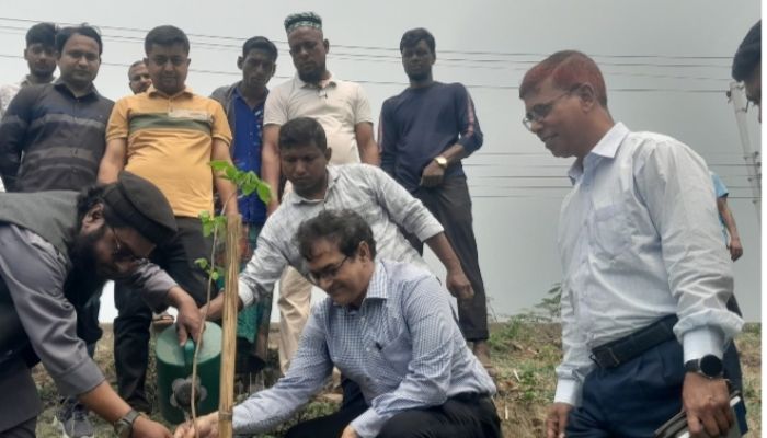 কুড়িগ্রামে সরকারের নির্বাচনী অঙ্গীকার বাস্তবায়নে বৃক্ষ রোপণ কর্মসুচির উদ্বোধন