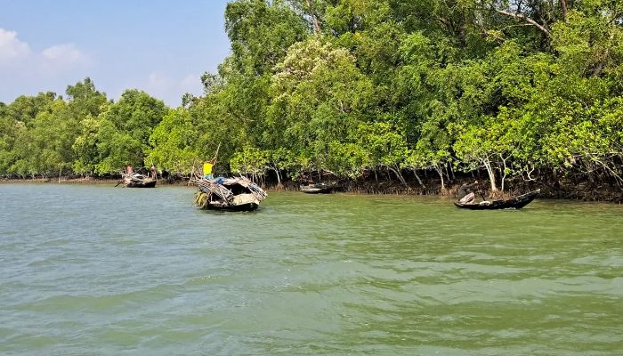 মুক্তিপণ দিয়ে ফিরলেন ৬ জেলে, এখনও নিখোঁজ ৪