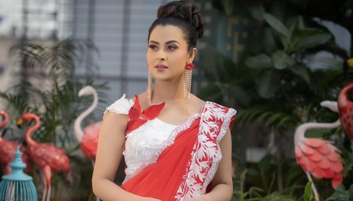 অন্তঃসত্ত্বা গুঞ্জনের মধ্যেই নতুনরূপে হাজির বুবলী