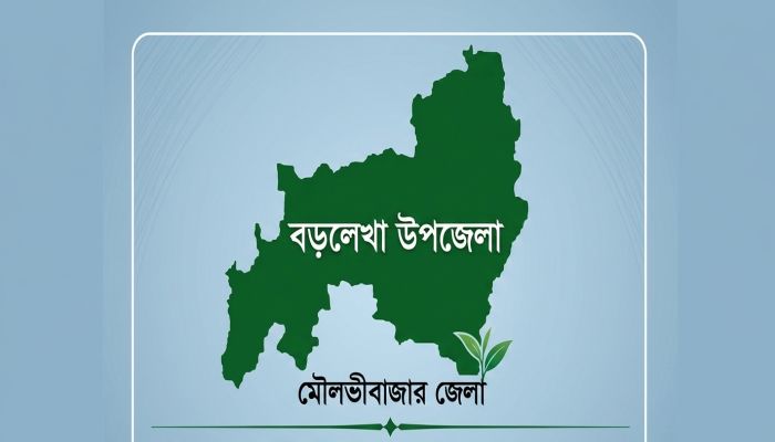 বড়লেখায়  শিশুকে বলাৎকারের ঘটনায় মুদি দোকানি আটক