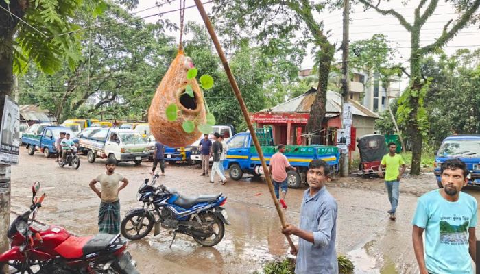 দুই তরুণের মানবতায় নীড়ে ফিরলো দুই পাখির ছানা