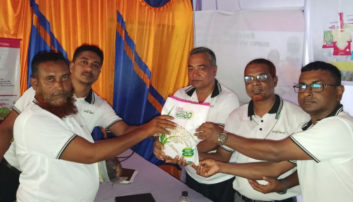 শৈলকুপায় হাইব্রিড ধান চাষে কৃষকদের প্রশিক্ষণ কর্মশালা অনুষ্ঠিত