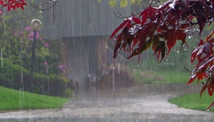 দেশজুড়ে বজ্রবৃষ্টির আভাস