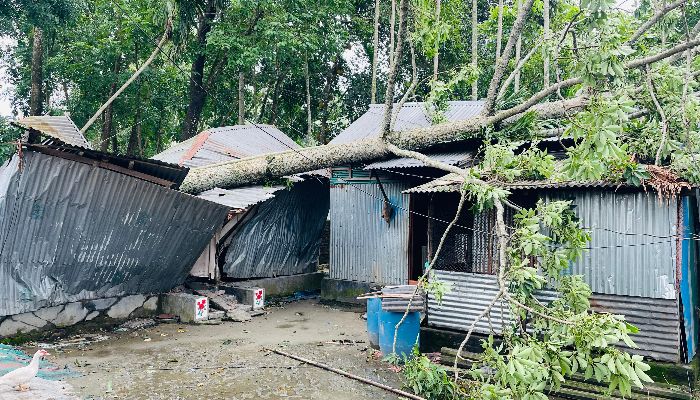 কালবৈশাখীর তাণ্ডবে মাদারগঞ্জে শতাধিক ঘরবাড়ি লণ্ডভণ্ড, খোলা আকাশের নিচে বহু পরিবার