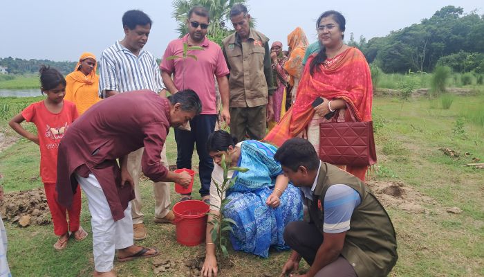 লোহাগড়ায় বৃক্ষরোপন কর্মসূচির উদ্ধোধন