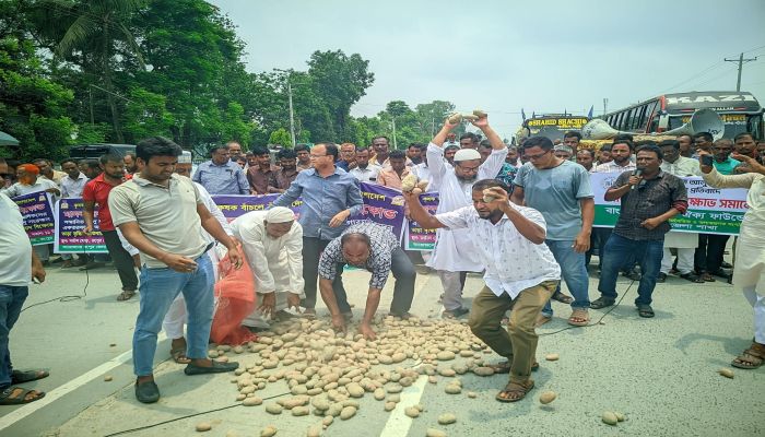 হিমাগার ভাড়া বৃদ্ধি, আলু ছিটিয়ে চাষিদের প্রতিবাদ, মহাসড়ক অবরোধ করে বিক্ষোভ