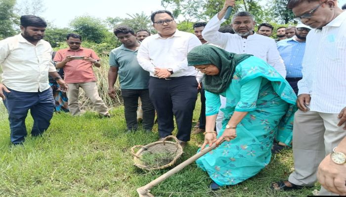 ‎ফেনীর সোনাগাজীর ডাঙ্গি খাল খনন কাজের উদ্বোধন করলেন জেলা প্রশাসক