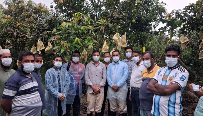 মাটিরাঙ্গায় 'উত্তম কৃষি চর্চা' নীতিমালায় আমের প্রদর্শনী প্লট ও পিএফএস স্কুল কার্যক্রম বাস্তবায়িত