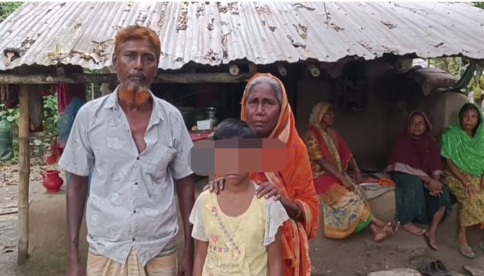  ‘দত্তক’ শিশুকে গৃহকর্মী বানানোর অভিযোগ প্রভাষকের বিরুদ্ধে
