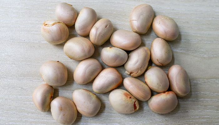 জেনে নিন কাঁঠালের বিচির যত উপকার, যেভাবে খাবেন