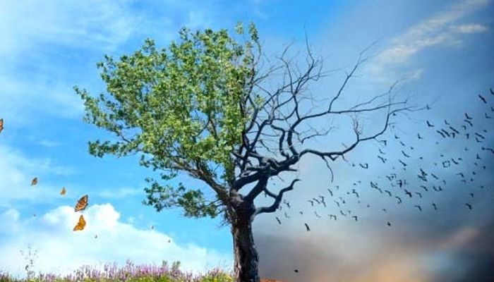 অজ্ঞতা ঈমানি দুর্বলতার অন্যতম কারণ