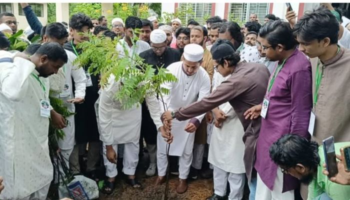 বিশ্ব পরিবেশ দিবস উপলক্ষে মতলব উত্তরে নাসীরুদ্দীন পাটওয়ারী