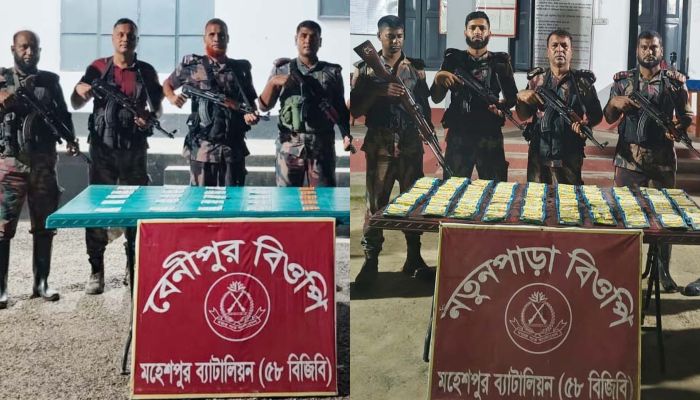 মহেশপুরে বিজিবির অভিযান: ভারতীয় ওষুধ ও কীটনাশক উদ্ধার!