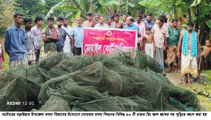 বড়াইগ্রামে নিষিদ্ধ ৮০টি চায়না রিং জাল জব্দের পর পুড়িয়ে ধ্বংস