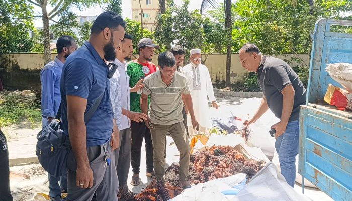 মতলব উত্তরে ট্রান্সফরমার চুরির মালামাল উদ্ধার, ভাঙারি ব্যবসায়ী টানা আনোয়ার আটক