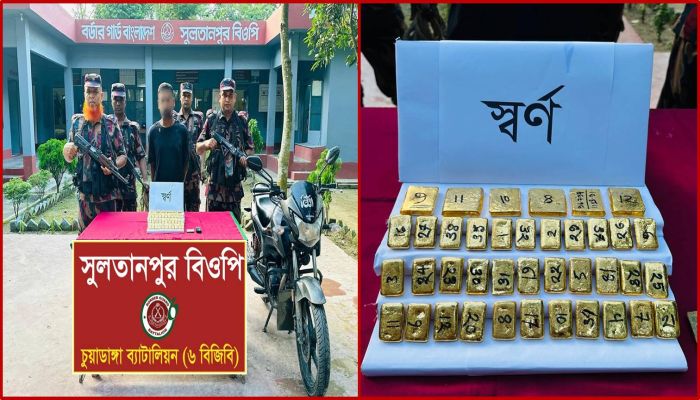 চুয়াডাঙ্গায় মোটরসাইকেল তল্লাশিতে মিলল ১৩ কোটি টাকার স্বর্ণ, আটক ১