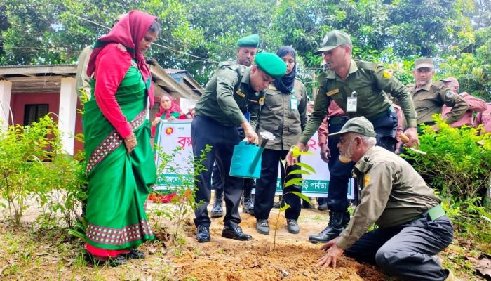 কুমিল্লা, বাগেরহাট, নেত্রকোনা, খাগড়াছড়ি ও রাঙ্গামাটিতে আনসার-ভিডিপির বৃক্ষরোপণ অভিযান: সবুজায়নের ডাক 