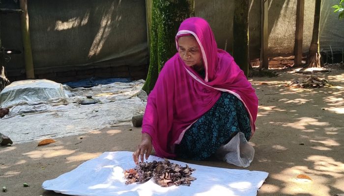 শেরপুরে জর্দার কৌটায় ১০ বছর ধরে জমানো ২ লাখ টাকা, খুলে দেখলেন টাকা খেল পোকায়