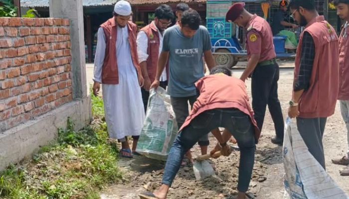 নারায়ণগঞ্জে আনসার-ভিডিপির উদ্যোগে সড়ক সংস্কার; যান চলাচলে স্বস্তি 