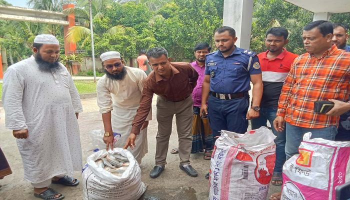 চরফ্যাশনে পুলিশের অভিযানে ২০০ কেজি মা ইলিশ জব্দ