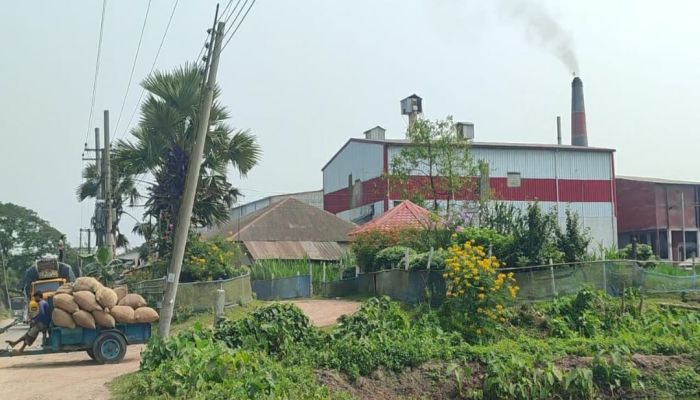 নেত্রকোনায় খাদ্য গুদাম কেলেঙ্কারির মূল হোতা মজুমদার অটো রাইস মিল