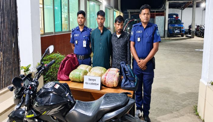 ফুলবাড়ীতে গাঁজাসহ দুই মাদক কারবারি গ্রেপ্তার