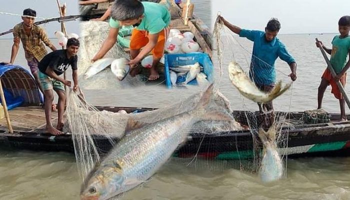 ২২ দিনের মাছ ধরার নিষেধাজ্ঞা শুরু আজ, দুশ্চিন্তায় জেলেরা