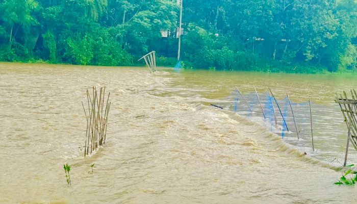 মৌলভীবাজারে পাহাড়ি ঢলে বন্যা, সড়ক ও ফসলি জমির ব্যাপক ক্ষতি