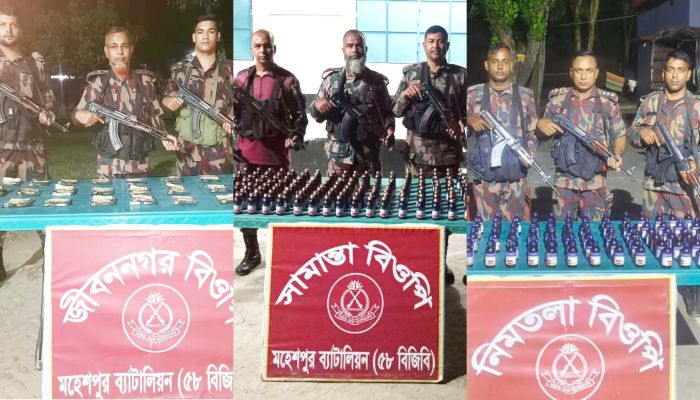 মহেশপুর বিজিবির পৃথক অভিযানে মাদক ও কীটনাশক উদ্ধার